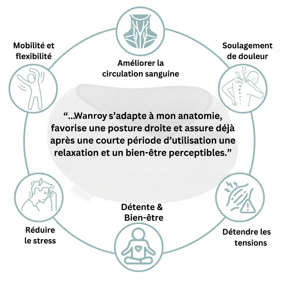 Description oreiller de voyage Wanroy - matériaux premium