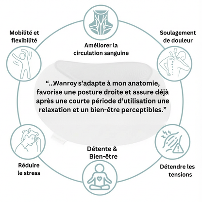 Wanroy™ - L'oreiller de voyage (1 ACHETÉ + 1 GRATUIT)